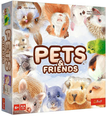 okładka gry Pets & Friends