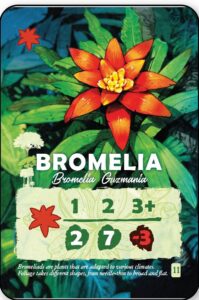Karta "Bromelia" z gry Amazonia ilustrowana przez Vincenta Dutraita