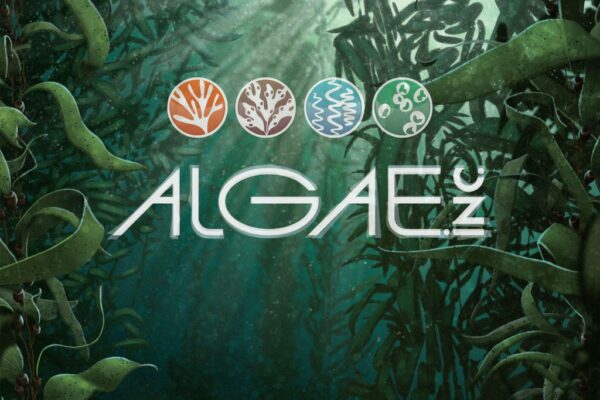 Algae Inc okładka gry
