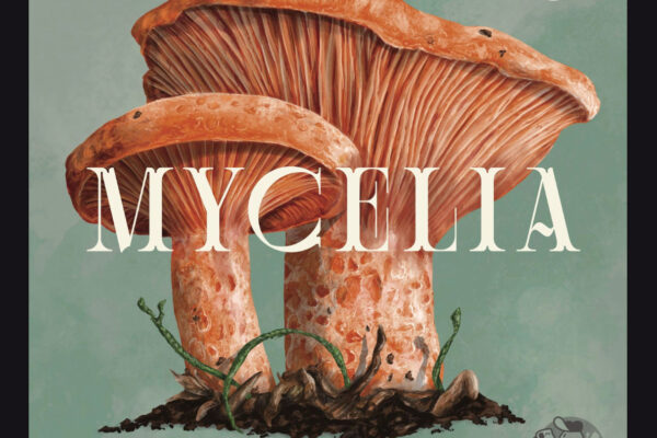 okładka gry Mycelia