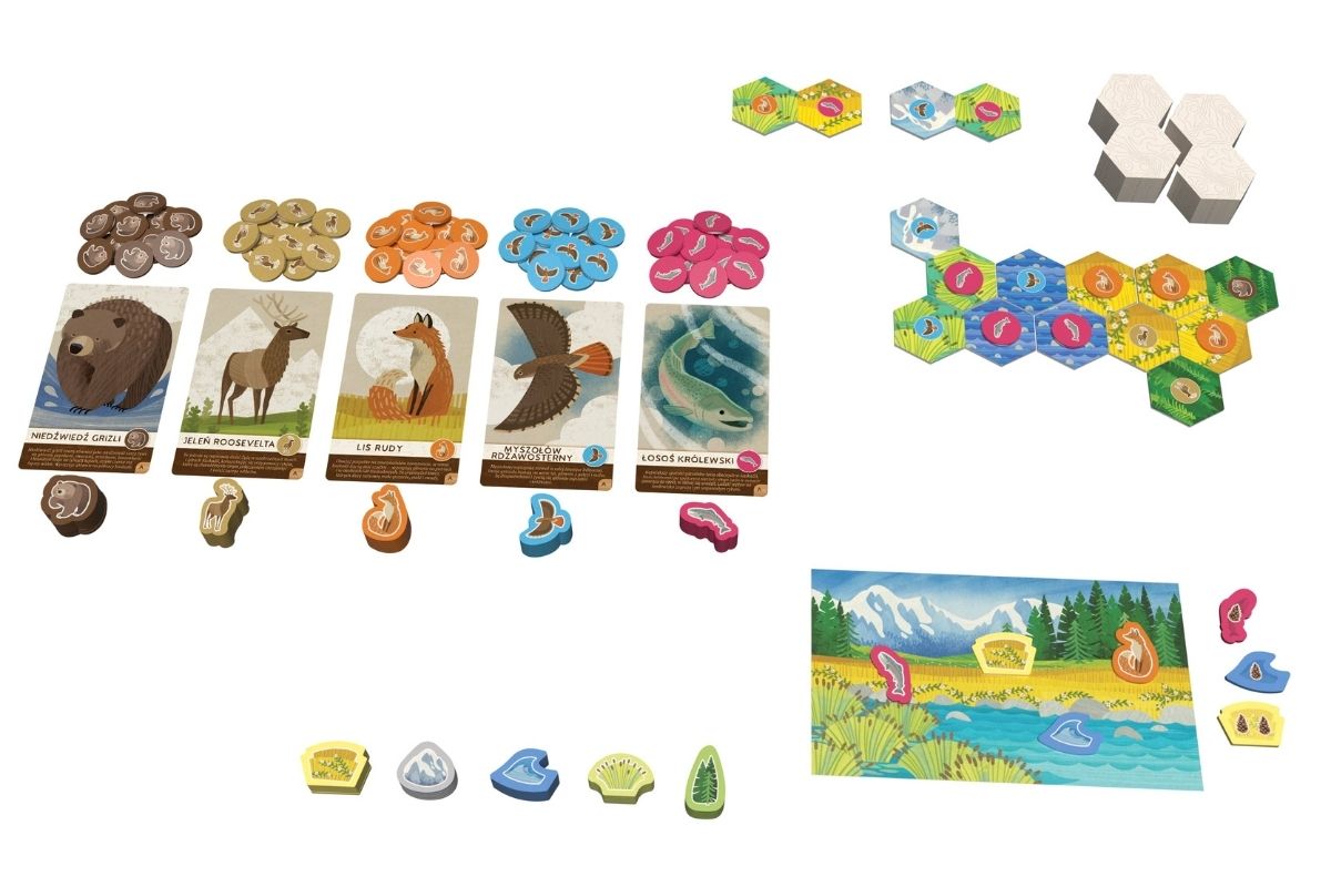 Kaskadia Junior od Lucky Duck Games. Kolejna odsłona genialnej gry